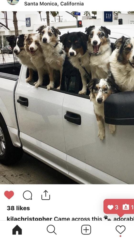 Customer photo review of Front Seat (Bucket Seat) Cover