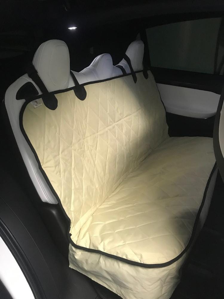Customer photo review of Dog Rear Seat Cover - No Hammock