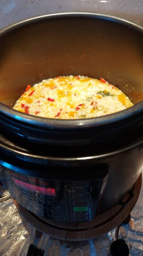 Customer photo review of Multicooker Novio EasyCook