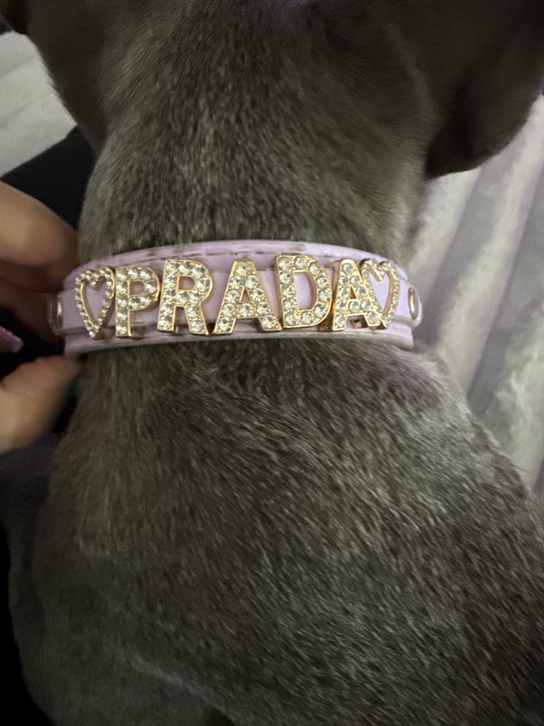 Customer photo review of Extra Charms