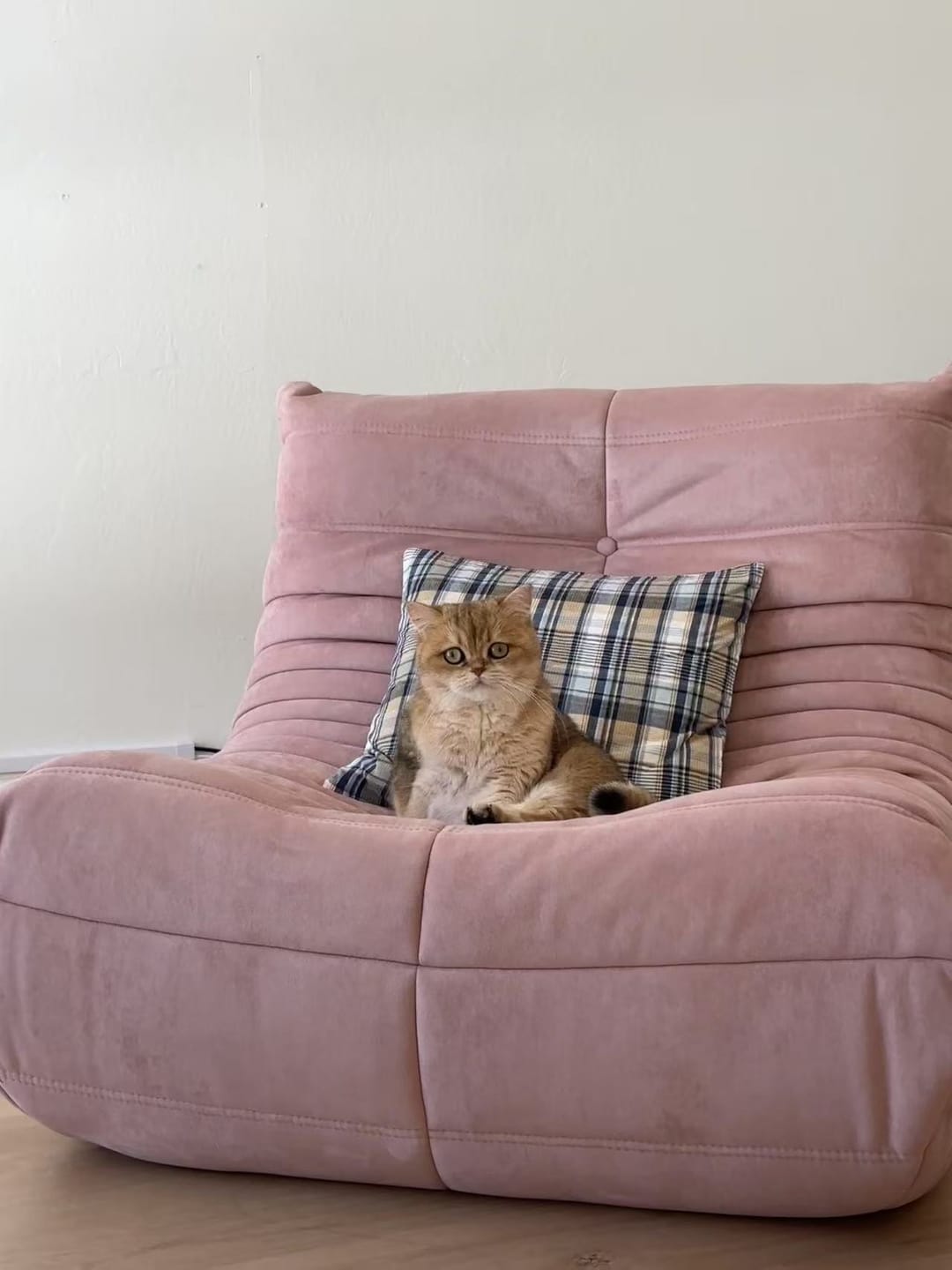 Customer photo review of Chillax Lounger Sofa Chair