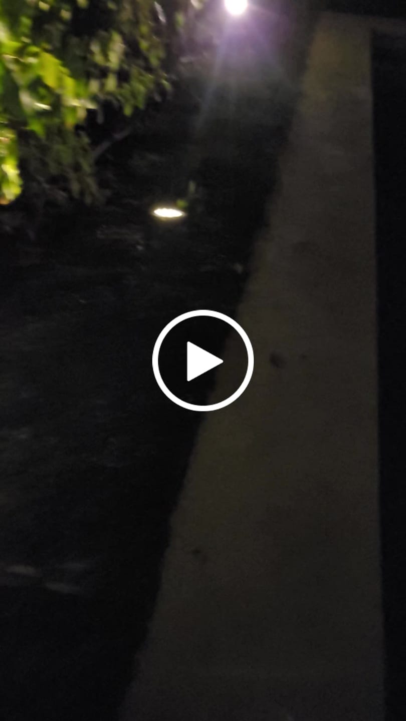 Customer video review of Estacas Acero Inoxidable Solar - 4 Un. Luz Cálida/Fría IP65 12 cm Diámetro