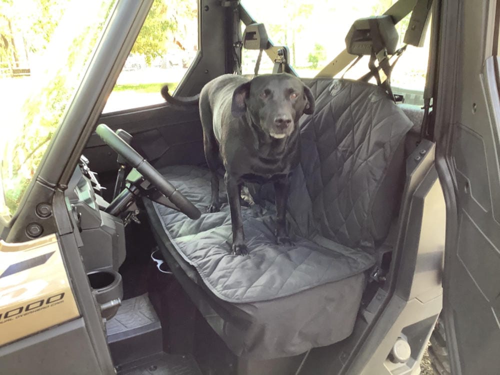Customer photo review of Dog Rear Seat Cover - No Hammock