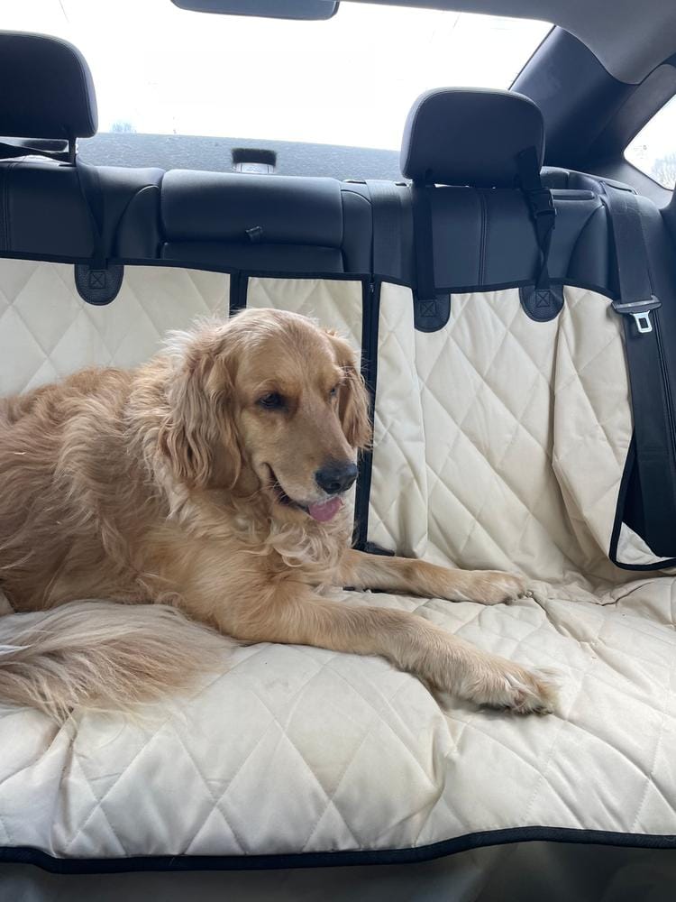 Customer photo review of Dog Rear Seat Cover - No Hammock
