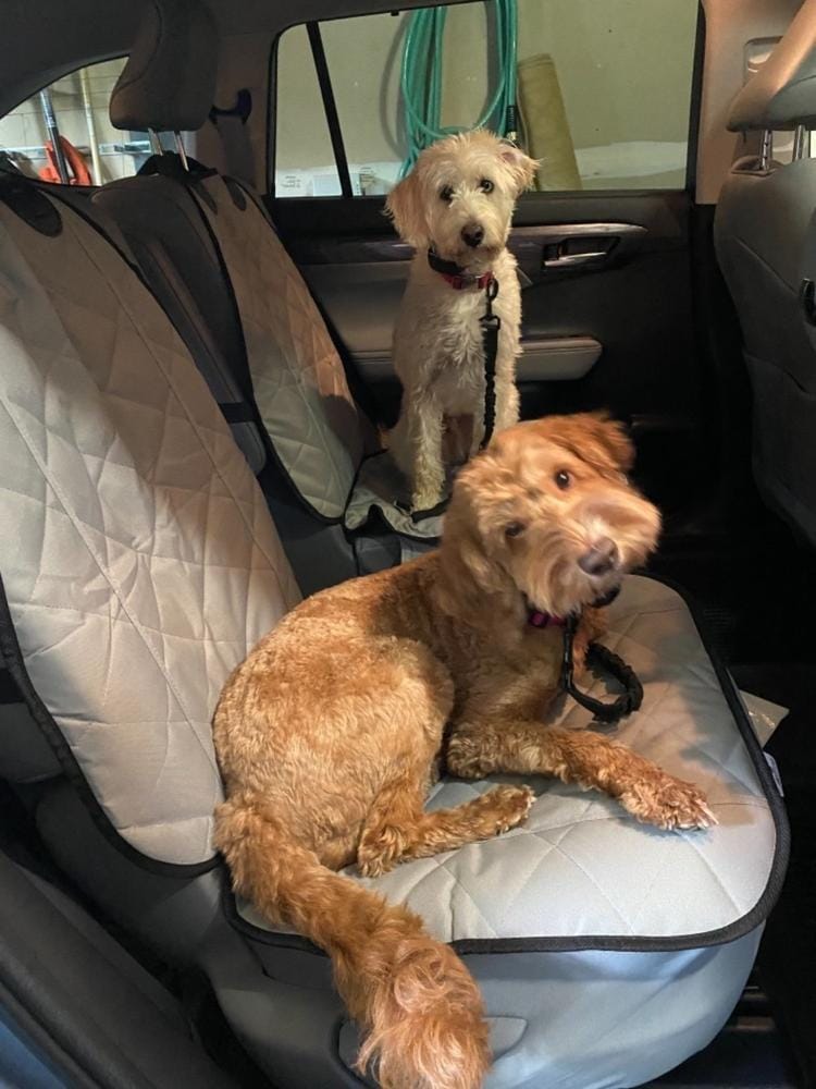 Customer photo review of Front Seat (Bucket Seat) Cover