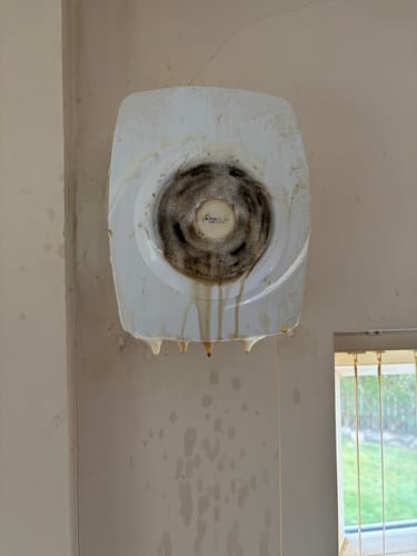 Carol W. review of Genie Grease Be Gone PRE ORDER TO BE SHIPPED ON 28TH MARCH image 1 out of 3