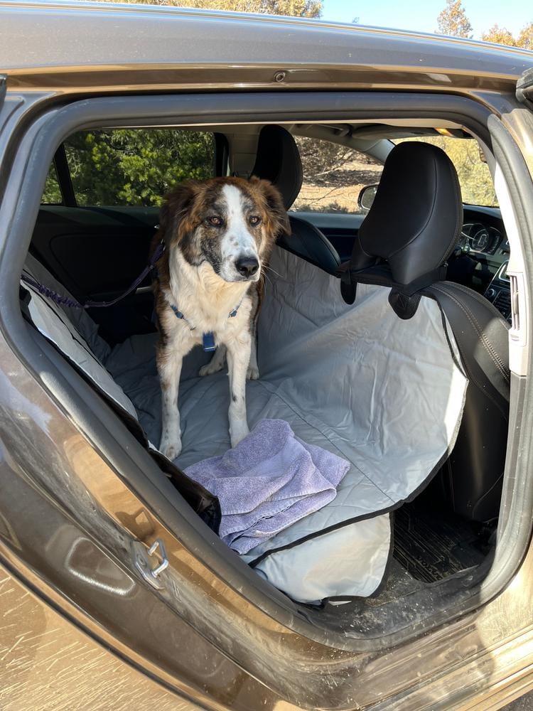 Customer photo review of Rear Seat Cover for Fold Down Seats with Hammock - Regular