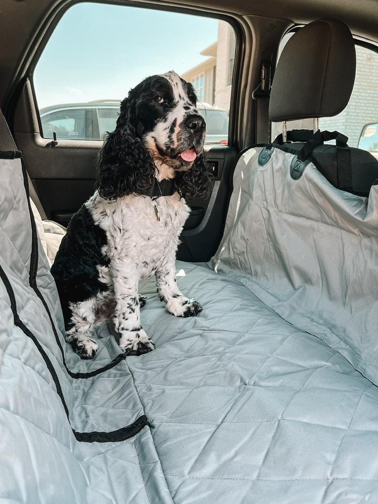 Customer photo review of Dog Rear Seat Cover with Hammock - Regular