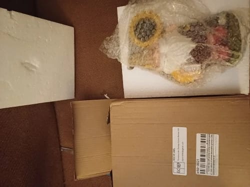 Customer photo review of 1pc bee day gift gnome gnome ornament garden resin statue ornament decorative gnome crafts