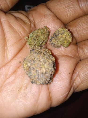 Customer photo review of Mochi