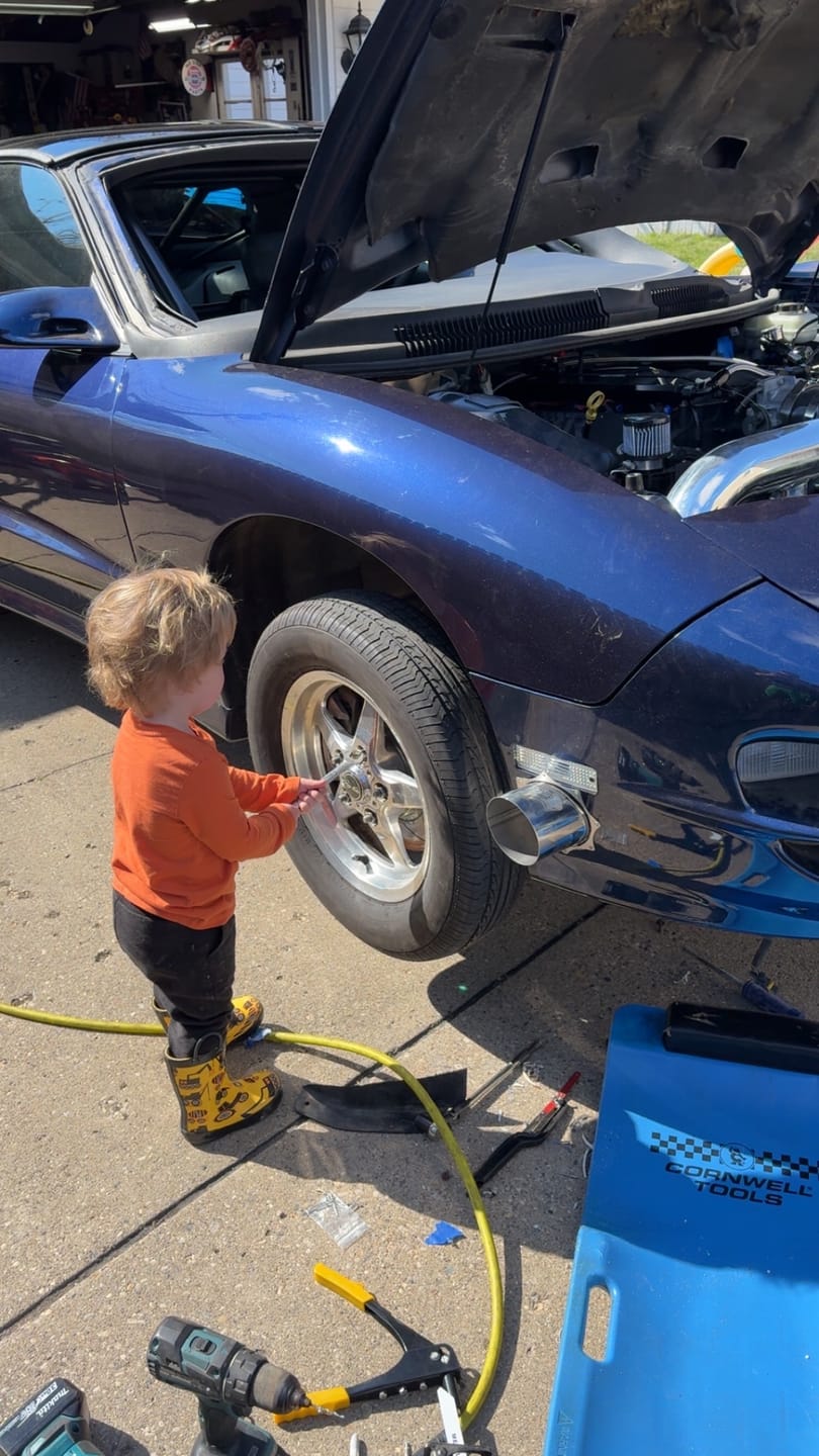 Customer photo review of Stainless Steel Exhaust Trim Ring (Single, 3"-5")