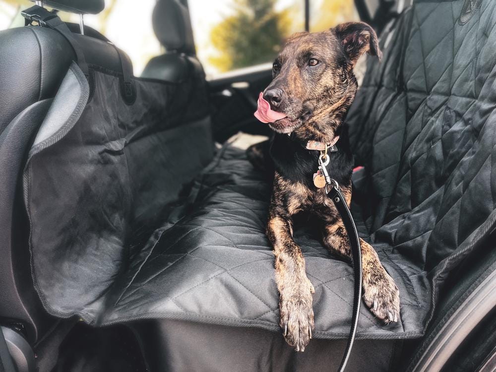 Customer photo review of Rear Seat Cover for Fold Down Seats with Hammock - Regular