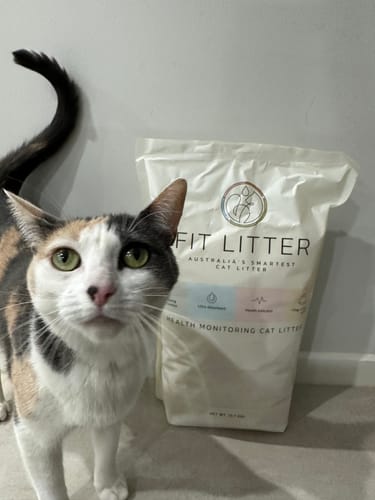 Customer photo review of 3 Month Supply - 1 Cat