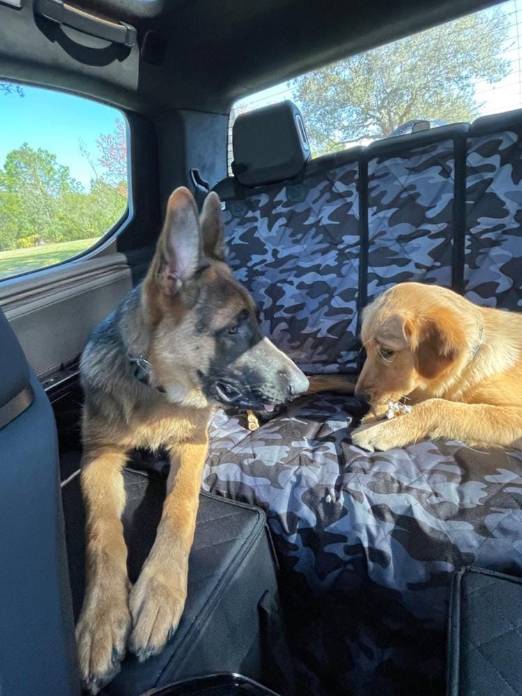 Customer photo review of Rear Seat Cover for Fold Down Seats with Hammock - Regular