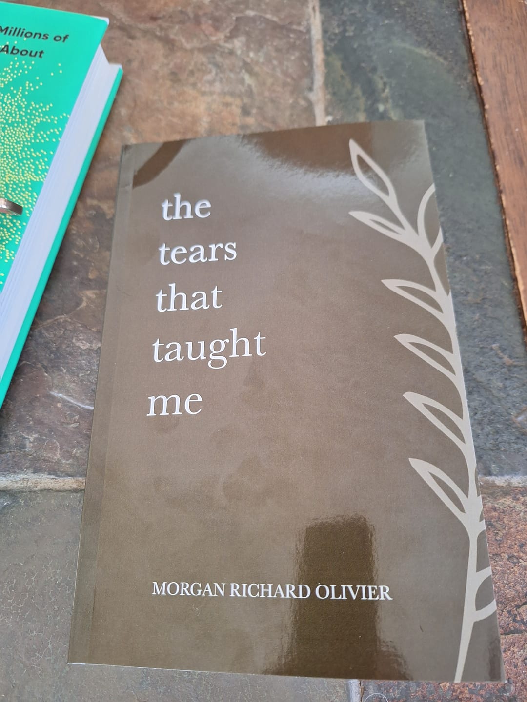 Customer photo review of The Tears That Taught Me