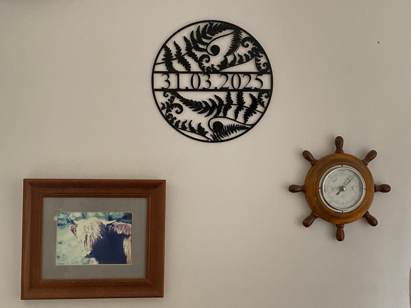 Customer photo review of Personalised Kiwiana Fern Décor