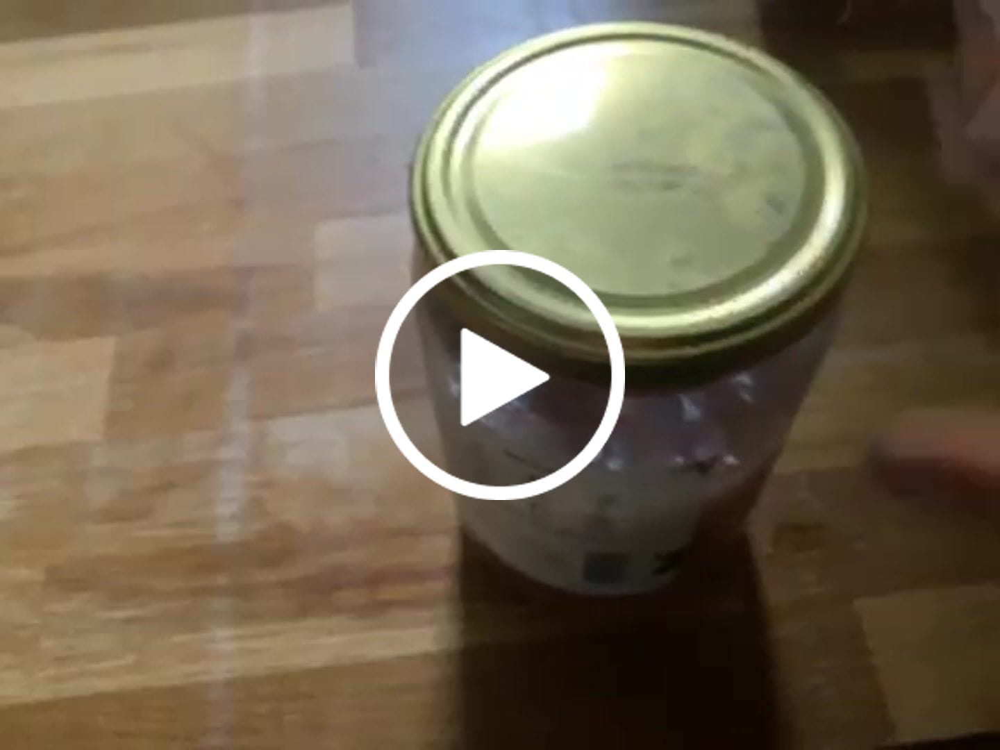 Customer video review of Purple Seamoss