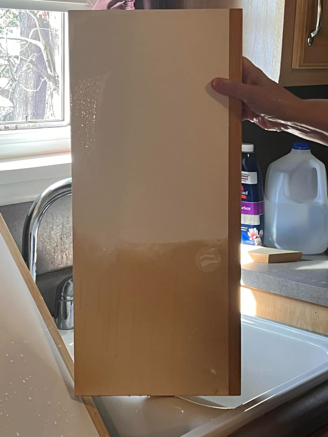 Customer photo review of 4-in-1 Kitchen & Home Cleaner Degreaser Concentrate