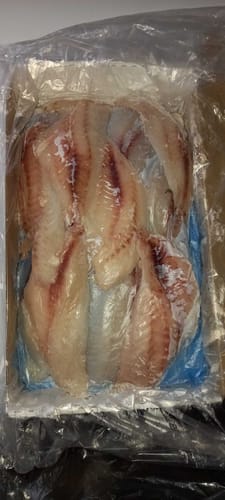 Customer photo review of 5KG Snapper Fillets (Skinned and Boned) Frozen