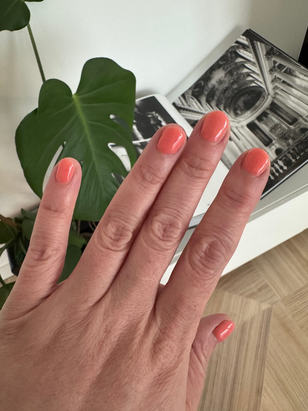 Customer photo review of Senorita Dipping Powder