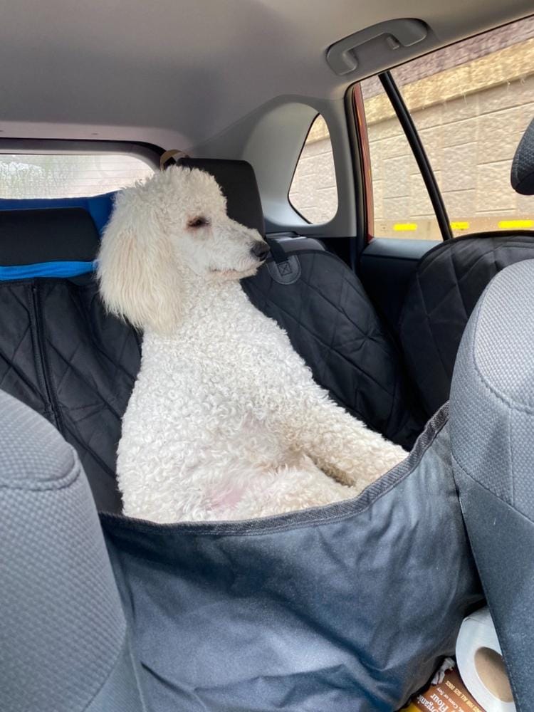 Customer photo review of Rear Seat Cover for Fold Down Seats with Hammock - Regular