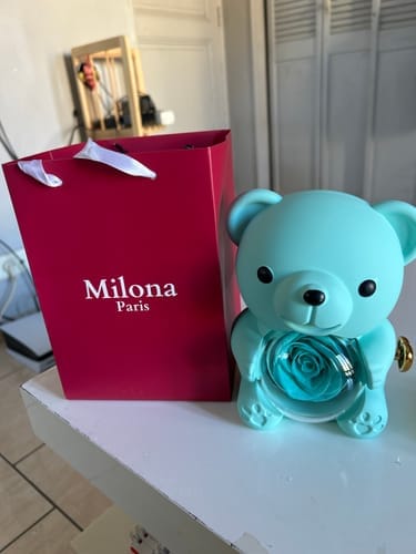 Customer photo review of Eternal Rose Bear & Personalized Necklace