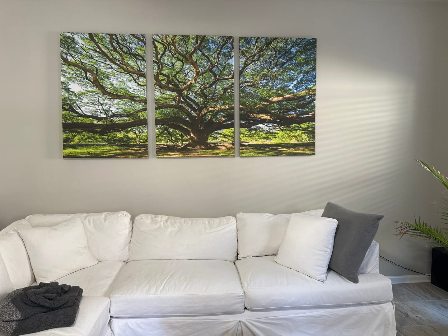 Customer photo review of Angel Oak Tree Wall Art | Oak Canvas Print | Multi Panel Landscape Wall Art | Ready to Hang Wall Art for Living Room