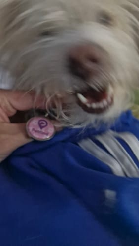 Customer photo review of Placa Rosada Flores