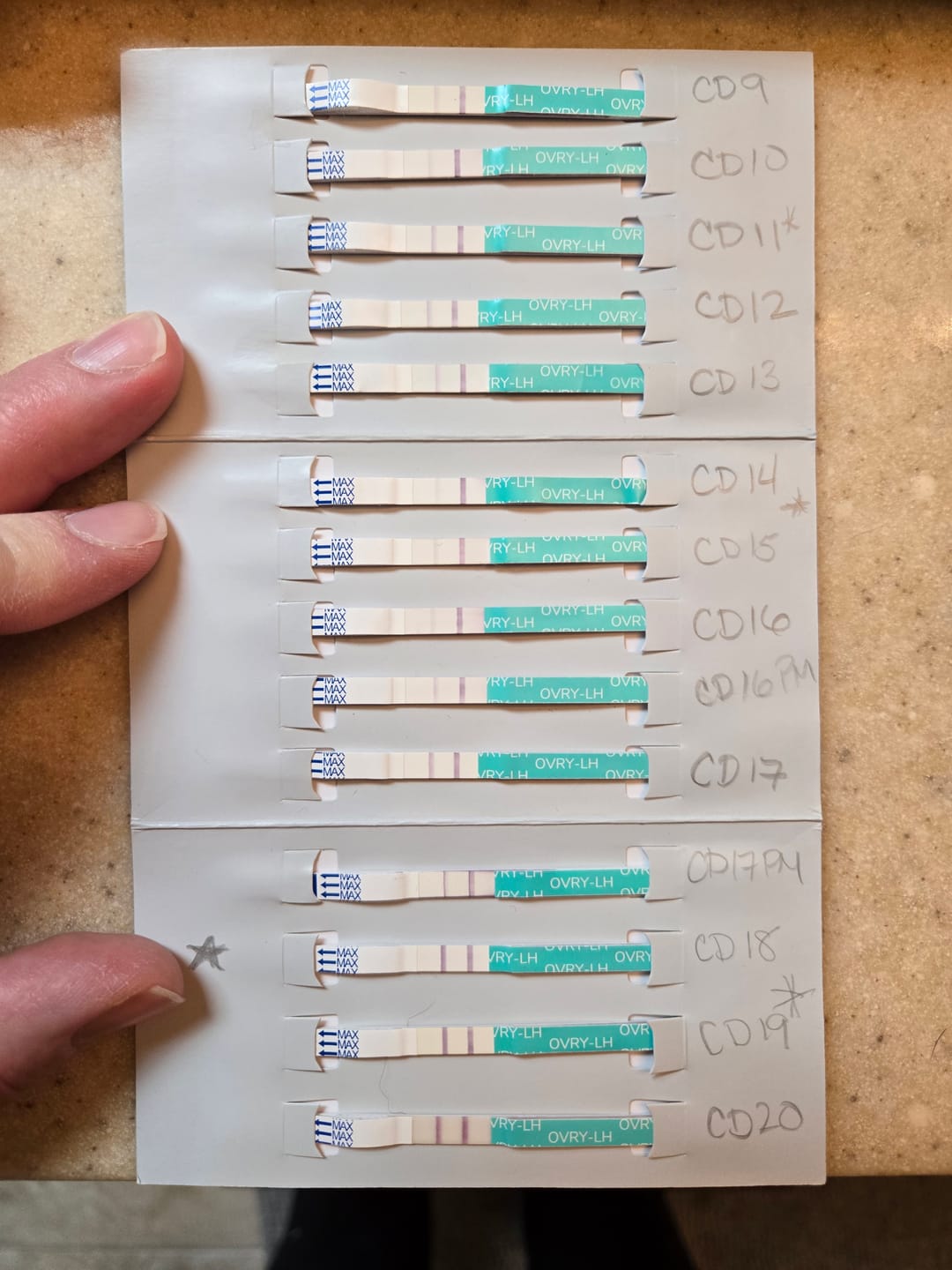 Customer photo review of Ovulation Test Strips