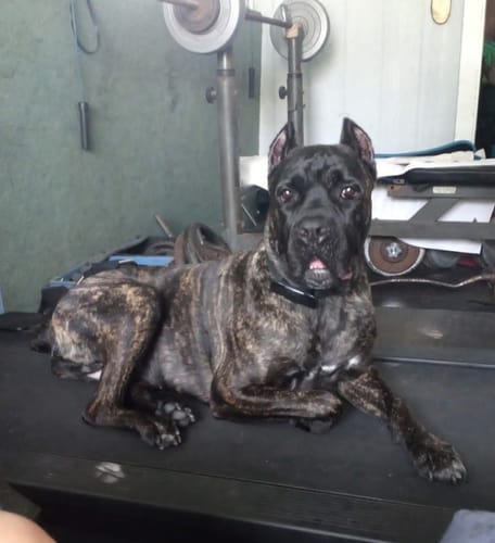 Customer photo review of Freedom Joint Drops