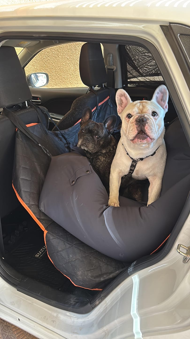 Customer photo review of Cama para auto gris gráfito