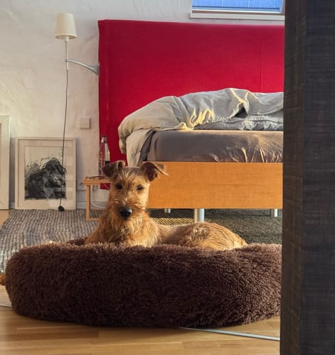 Customer photo review of Puppery Hundebett Wolke 7 - Das Original