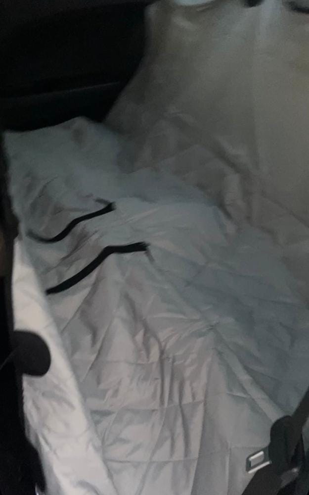 Customer photo review of Dog Rear Seat Cover with Hammock - Regular