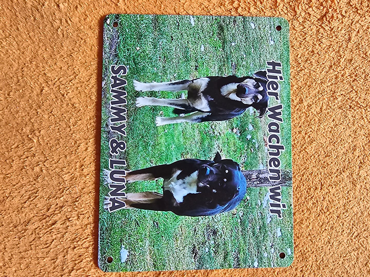 Customer photo review of Hunde-Türschild mit Foto & Wunschtext (UV- UND WETTERFEST) - Angebot beim Kauf eines 2. Schildes