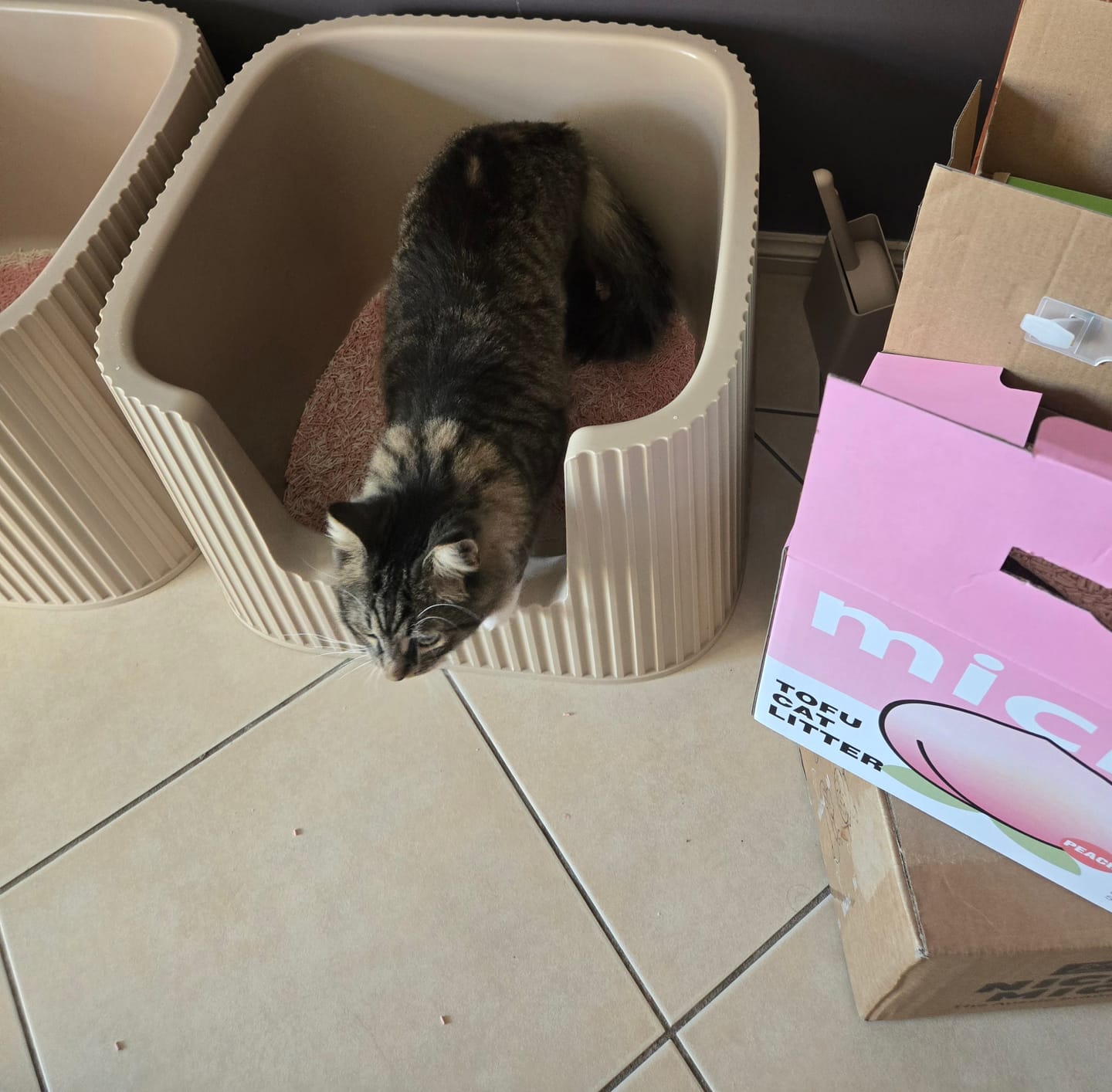 Customer photo review of Michu Tofu Cat Litter Gen3 - Natural Clumping Tofu-Based Formula - Value Box 5 kg