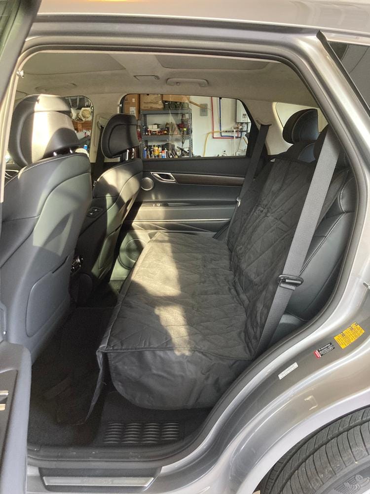 Customer photo review of Dog Rear Seat Cover with Hammock - Regular