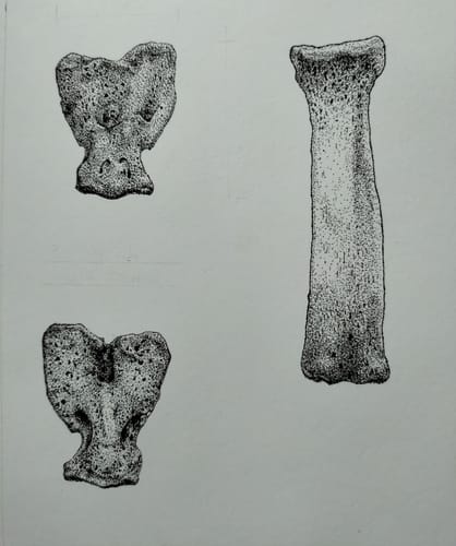 Customer photo review of Rotring Rapidograph - Tiralíneas Recargable