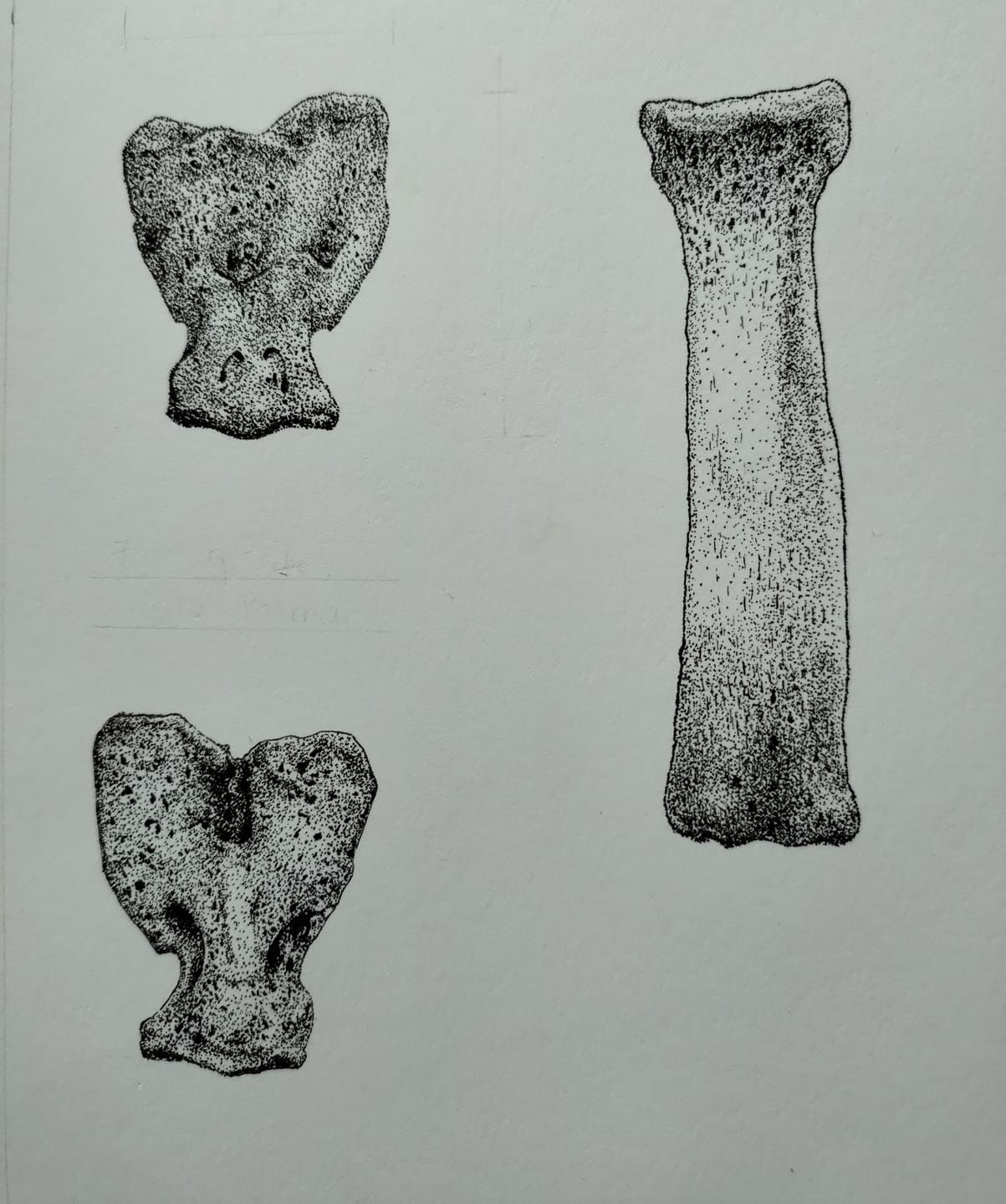 Customer photo review of Rotring Rapidograph - Tiralíneas Recargable