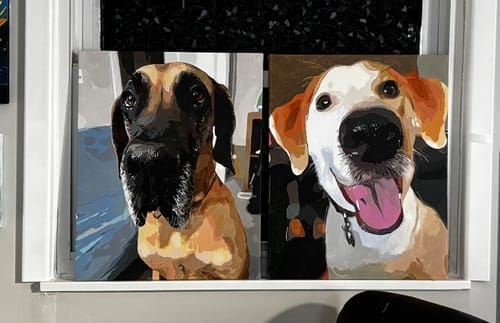 Customer photo review of Unleash Your Inner Artist: Custom Paint - by - Numbers for Adults! A Fun DIY Gift for Festive Creativity