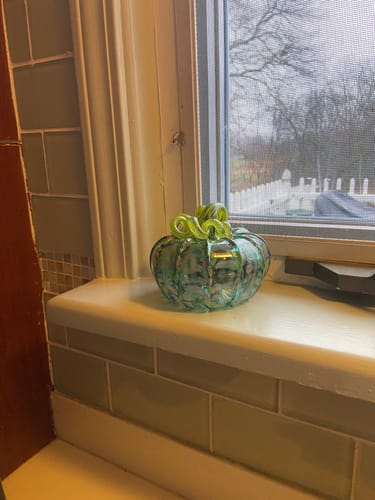 Customer photo review of the Monet Pumpkin