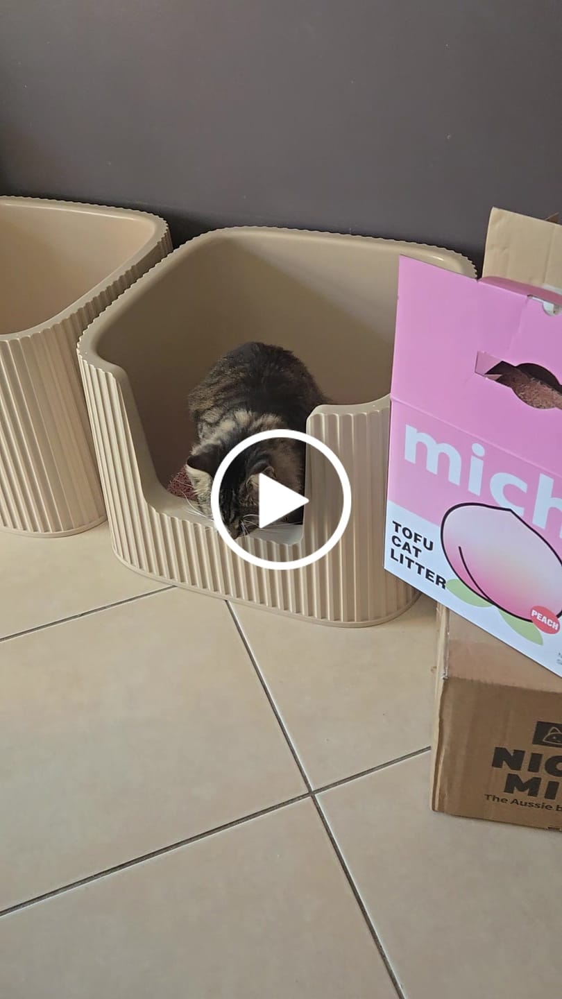 Customer video review of Michu Tofu Cat Litter Gen3 - Natural Clumping Tofu-Based Formula - Value Box 5 kg