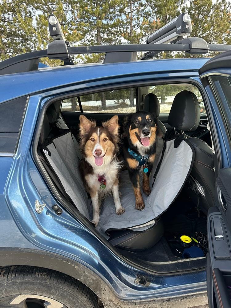 Customer photo review of Rear Seat Cover for Fold Down Seats with Hammock - Regular