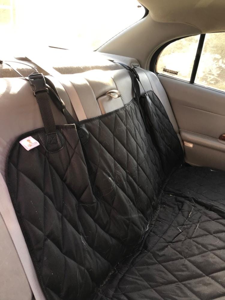 Customer photo review of Dog Rear Seat Cover with Hammock - Regular