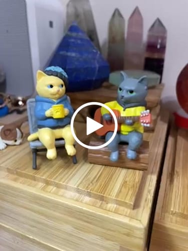 Customer video review of 盒玩 貓咪的假日