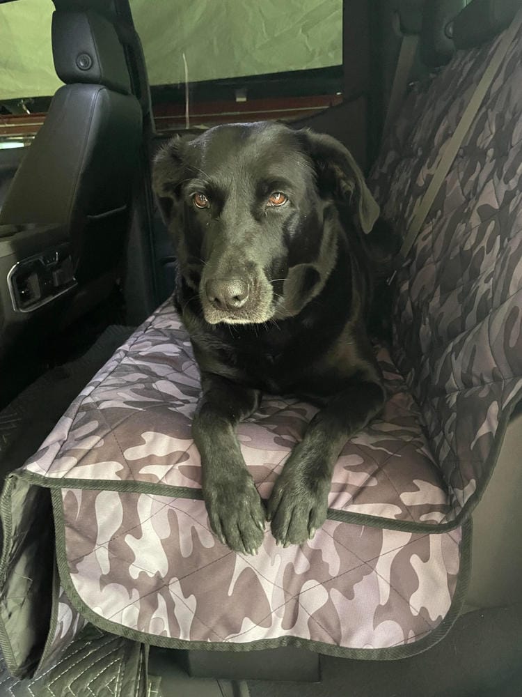Customer photo review of Rear Seat Cover for Fold Down Seats with Hammock - Regular