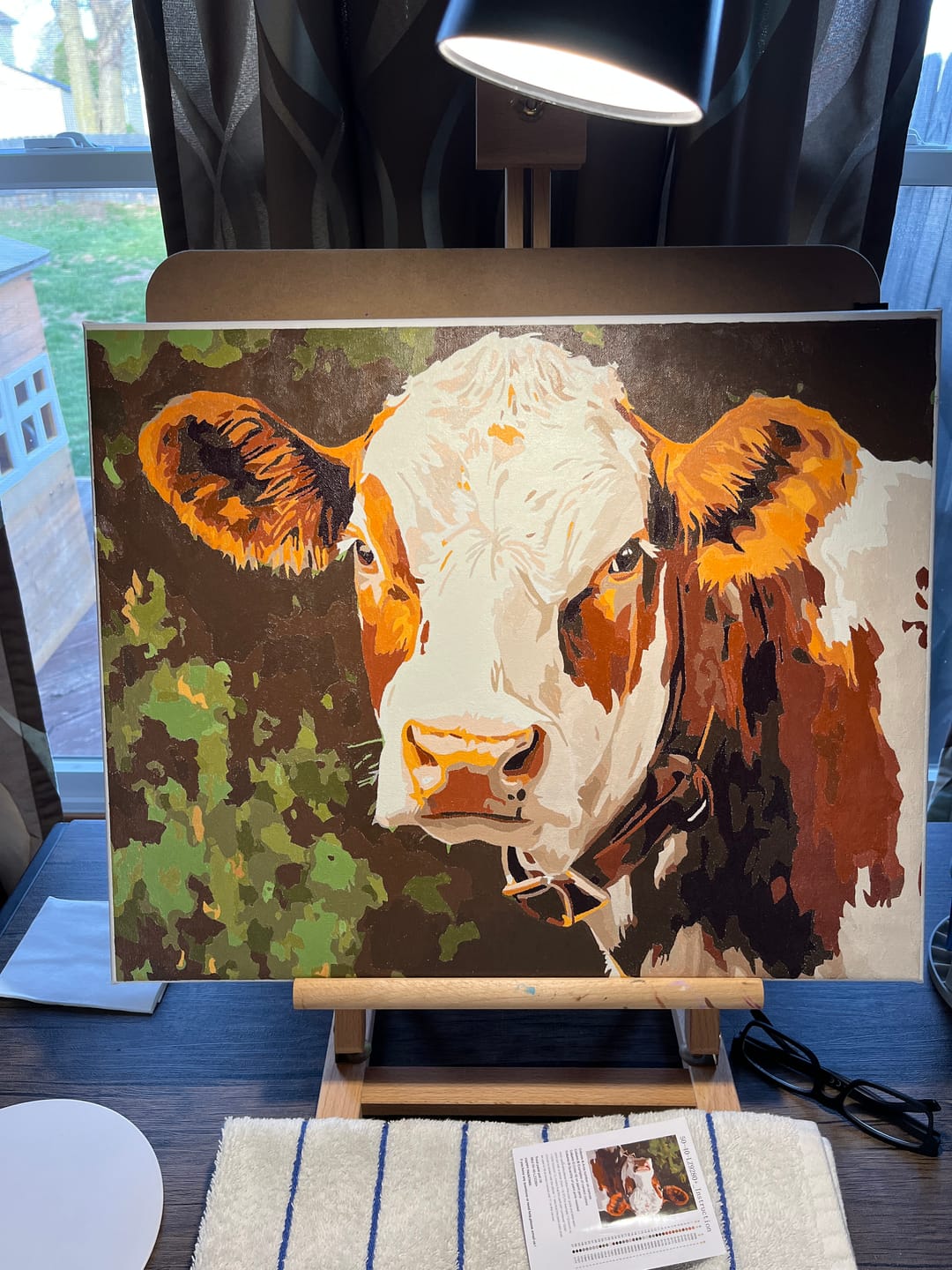Customer photo review of Cattle Portrait