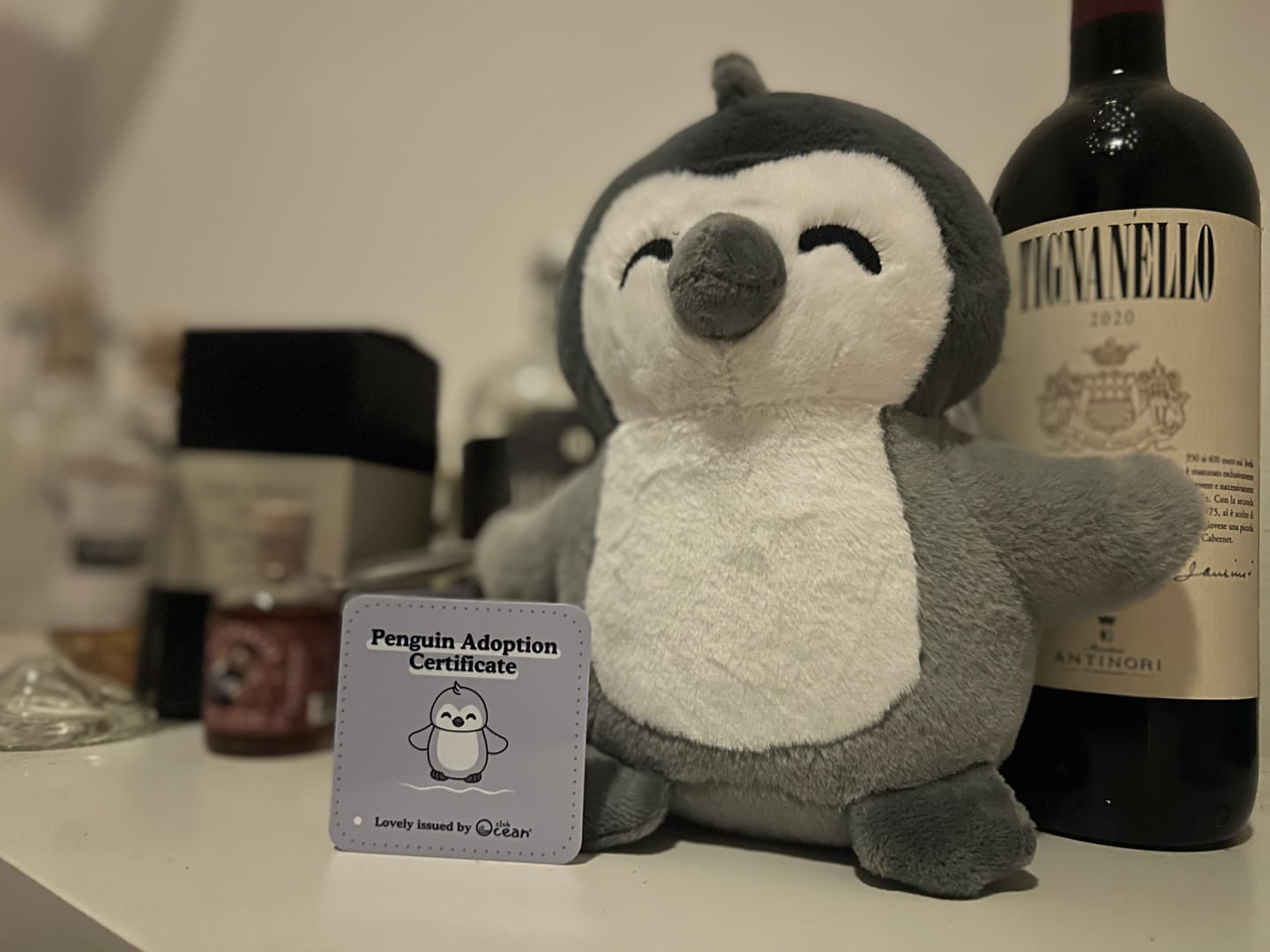 Customer photo review of Penguin Tracking Bracelet