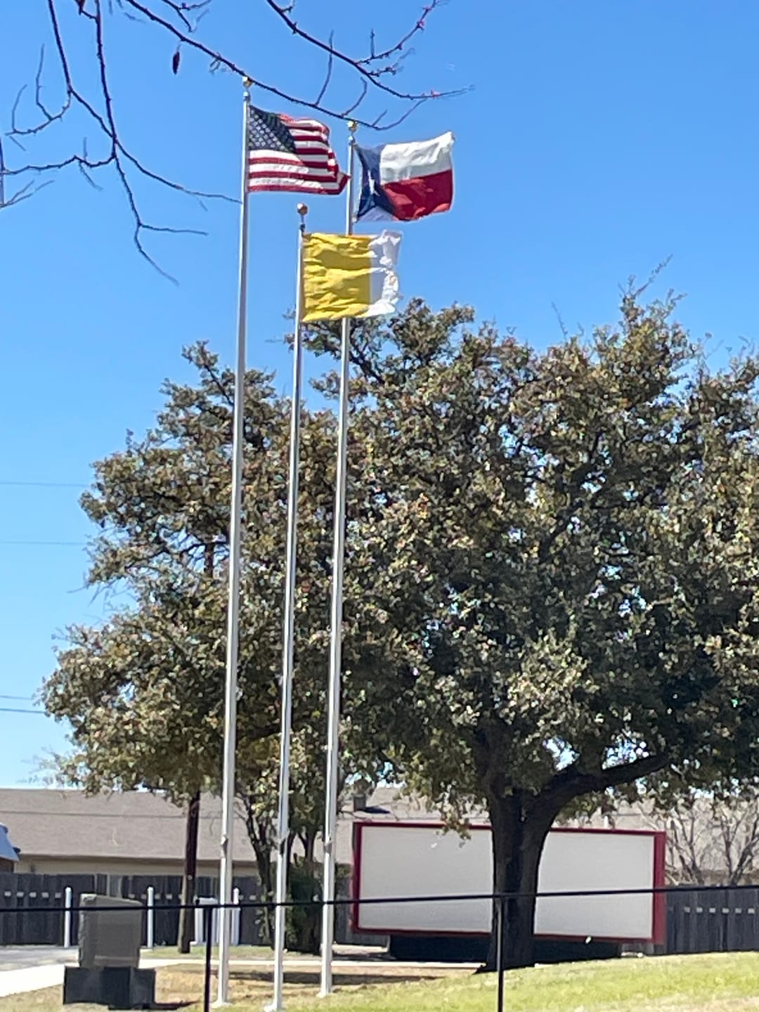 Customer photo review of 30 ft. Commercial Flagpole with External Rope Halyard Rated At 88 mph