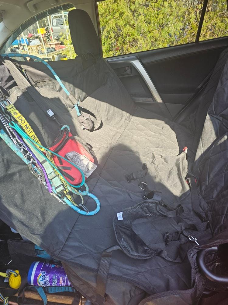 Customer photo review of Dog Rear Seat Cover with Hammock - Regular