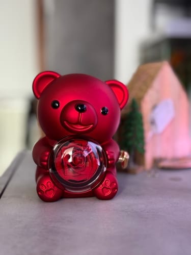 Customer photo review of Eternal Rose Bear & Personalized Necklace
